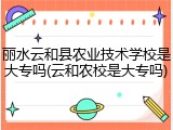 丽水云和县农业技术学校是大专吗(云和农校是大专吗)