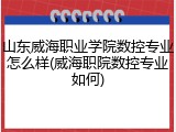山东威海职业学院数控专业怎么样(威海职院数控专业如何)