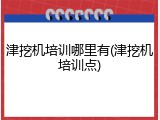 津挖机培训哪里有(津挖机培训点)