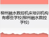 柳州融水数控机床培训机构有哪些学校(柳州融水数控学校)