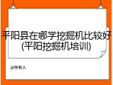 平阳县在哪学挖掘机比较好(平阳挖掘机培训)