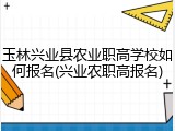 玉林兴业县农业职高学校如何报名(兴业农职高报名)
