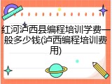 红河泸西县编程培训学费一般多少钱(泸西编程培训费用)