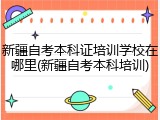 新疆自考本科证培训学校在哪里(新疆自考本科培训)