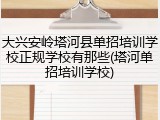 大兴安岭塔河县单招培训学校正规学校有那些(塔河单招培训学校)