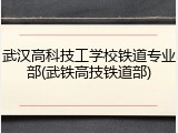 武汉高科技工学校铁道专业部(武铁高技铁道部)