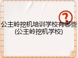 公主岭挖机培训学校有哪些(公主岭挖机学校)