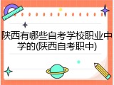 陕西有哪些自考学校职业中学的(陕西自考职中)