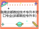 陇南武都数控技术专升本对口专业(武都数控专升本)
