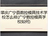 肇庆广宁县数控模具技术学校怎么样(广宁数控模具学校如何)