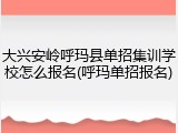 大兴安岭呼玛县单招集训学校怎么报名(呼玛单招报名)