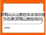 双鸭山尖山数控车床培训地方在哪(双鸭山数控培训)