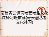 南昌青云谱高考艺考生文化课补习班推荐(青云谱艺考文化补习)