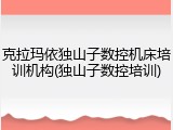 克拉玛依独山子数控机床培训机构(独山子数控培训)