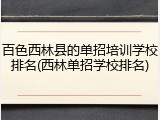 百色西林县的单招培训学校排名(西林单招学校排名)