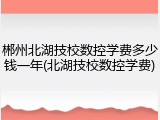 郴州北湖技校数控学费多少钱一年(北湖技校数控学费)