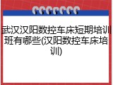 武汉汉阳数控车床短期培训班有哪些(汉阳数控车床培训)