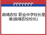 曲靖农校 职业中学校长是谁(曲靖农校校长)