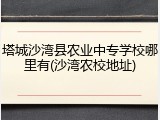 塔城沙湾县农业中专学校哪里有(沙湾农校地址)
