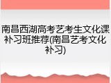 南昌西湖高考艺考生文化课补习班推荐(南昌艺考文化补习)