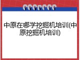 中原在哪学挖掘机培训(中原挖掘机培训)