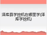 泽库县学挖机在哪里学(泽库学挖机)