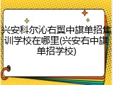 兴安科尔沁右翼中旗单招集训学校在哪里(兴安右中旗单招学校)