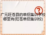 广元旺苍县的单招集训学校哪里有(旺苍单招集训校)