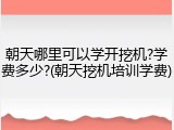 朝天哪里可以学开挖机?学费多少?(朝天挖机培训学费)