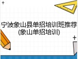 宁波象山县单招培训班推荐(象山单招培训)