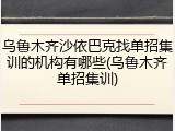 乌鲁木齐沙依巴克找单招集训的机构有哪些(乌鲁木齐单招集训)