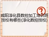 咸阳淳化县数控加工培训班技校有哪些(淳化数控技校)