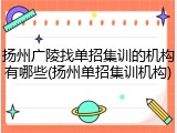 扬州广陵找单招集训的机构有哪些(扬州单招集训机构)