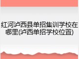红河泸西县单招集训学校在哪里(泸西单招学校位置)