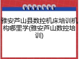 雅安芦山县数控机床培训机构哪里学(雅安芦山数控培训)