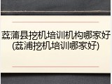 荔蒲县挖机培训机构哪家好(荔浦挖机培训哪家好)
