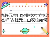 赤峰元宝山农业技术学校怎么样(赤峰元宝山农校如何)