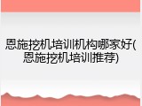 恩施挖机培训机构哪家好(恩施挖机培训推荐)
