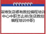 淄博张店哪有数控编程培训中心中职怎么样(张店数控编程培训中职)