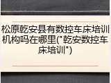 松原乾安县有数控车床培训机构吗在哪里("乾安数控车床培训")