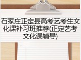 石家庄正定县高考艺考生文化课补习班推荐(正定艺考文化课辅导)