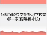 铜陵铜陵县文化补习学校是哪一家(铜陵县补校)