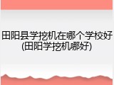 田阳县学挖机在哪个学校好(田阳学挖机哪好)