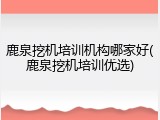 鹿泉挖机培训机构哪家好(鹿泉挖机培训优选)