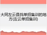 大同左云县找单招集训的地方(左云单招集训)