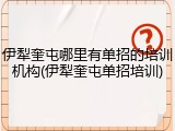 伊犁奎屯哪里有单招的培训机构(伊犁奎屯单招培训)