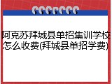 阿克苏拜城县单招集训学校怎么收费(拜城县单招学费)