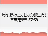 浦东新挖掘机技校哪里有(浦东挖掘机技校)