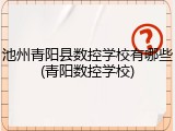 池州青阳县数控学校有哪些(青阳数控学校)