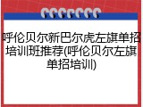 呼伦贝尔新巴尔虎左旗单招培训班推荐(呼伦贝尔左旗单招培训)
